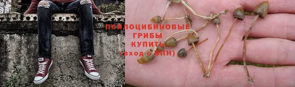 шишки Михайловск