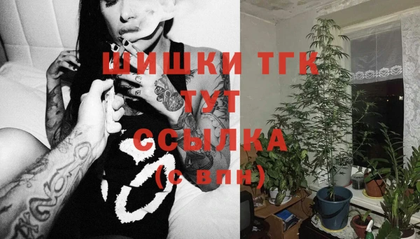 шишки Михайловск
