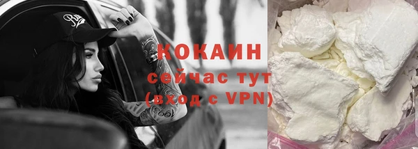 шишки Михайловск