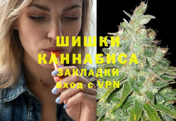 шишки Михайловск