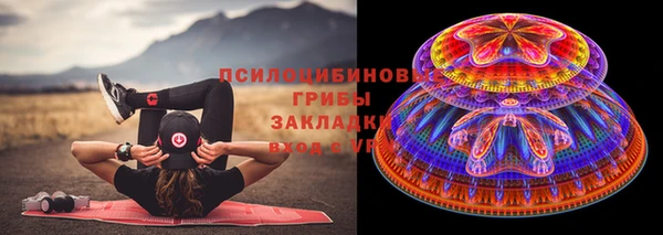 шишки Михайловск
