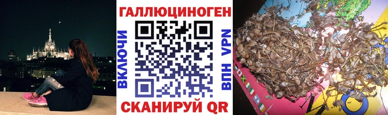 купить закладку  Никольское  Псилоцибиновые грибы мухоморы 